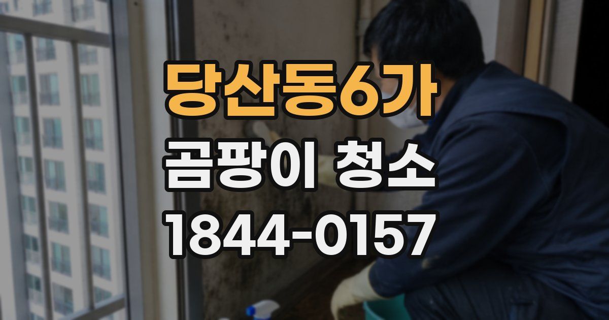 당산동6가 곰팡이 청소