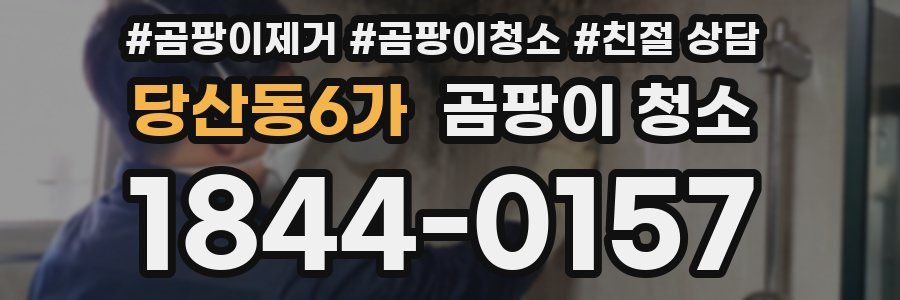 당산동6가 곰팡이 청소