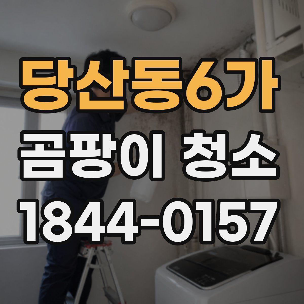 당산동6가 곰팡이 청소