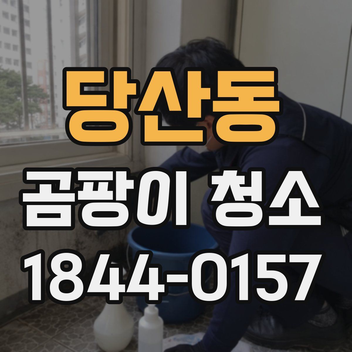 당산동 곰팡이 청소