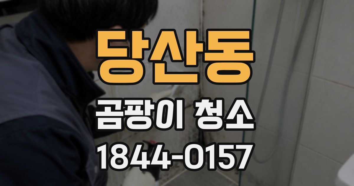 당산동 곰팡이 청소