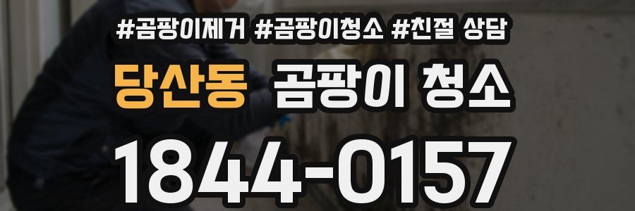 당산동 곰팡이 청소