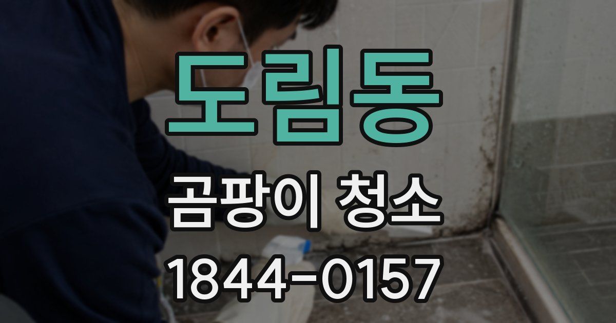 도림동 곰팡이 청소