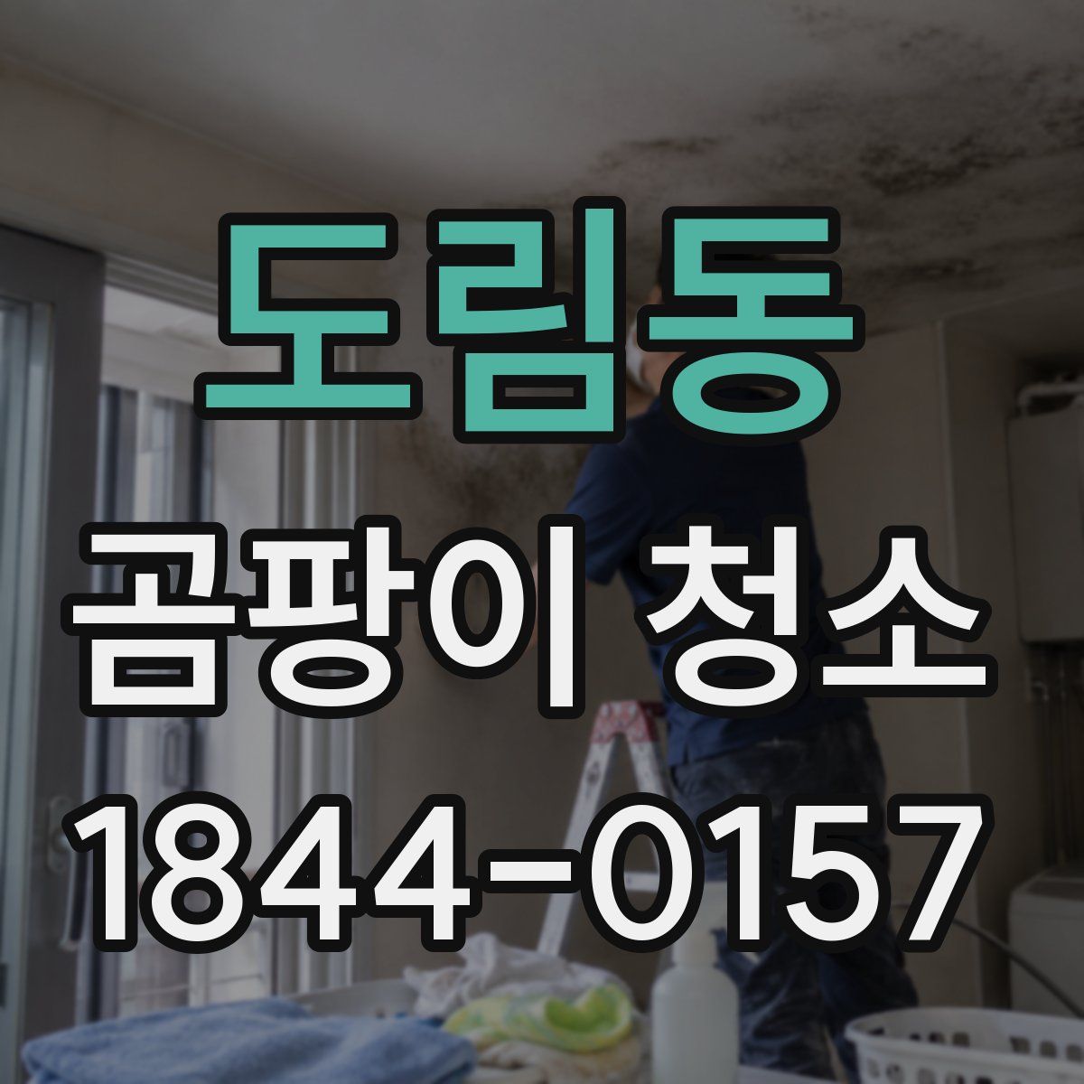 도림동 곰팡이 청소