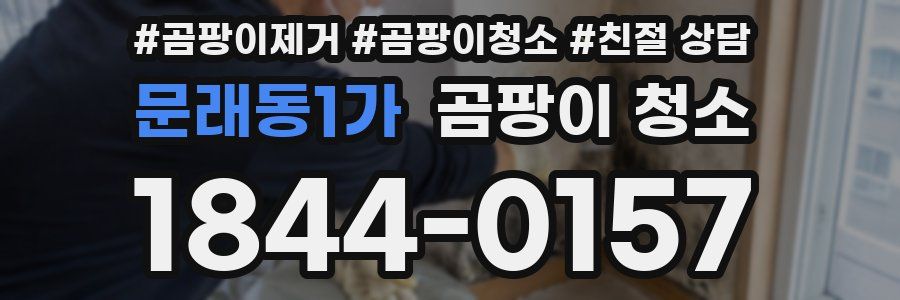문래동1가 곰팡이 청소