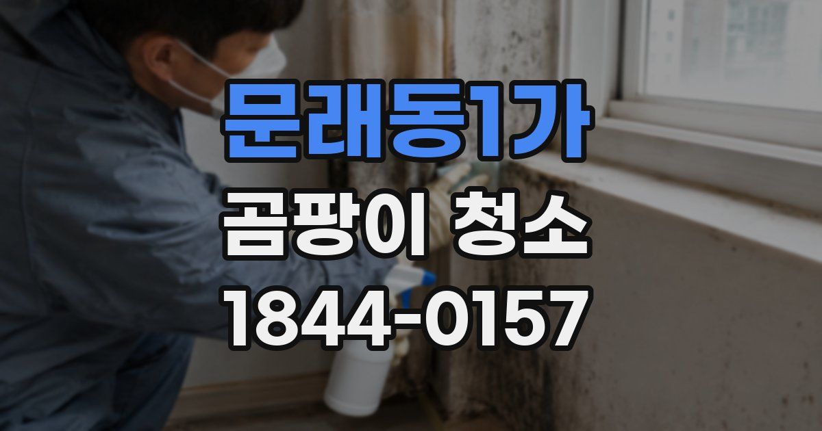 문래동1가 곰팡이 청소