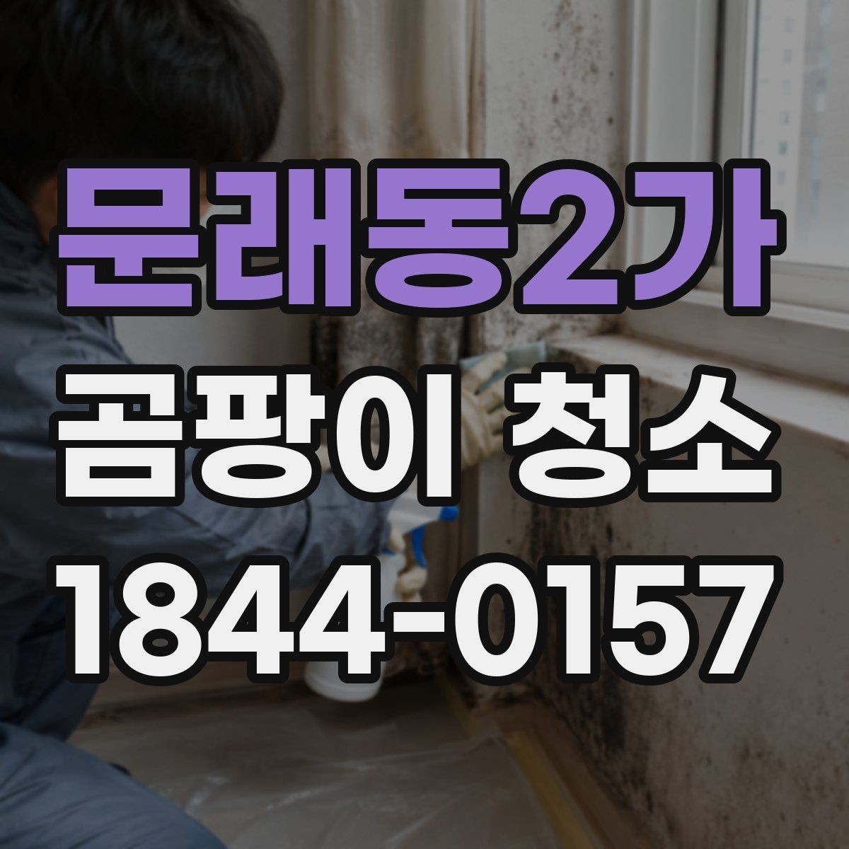 문래동2가 곰팡이 청소 전에 원인을 진단해야 하는 이유