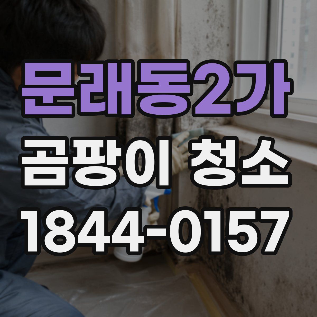 문래동2가 곰팡이 청소