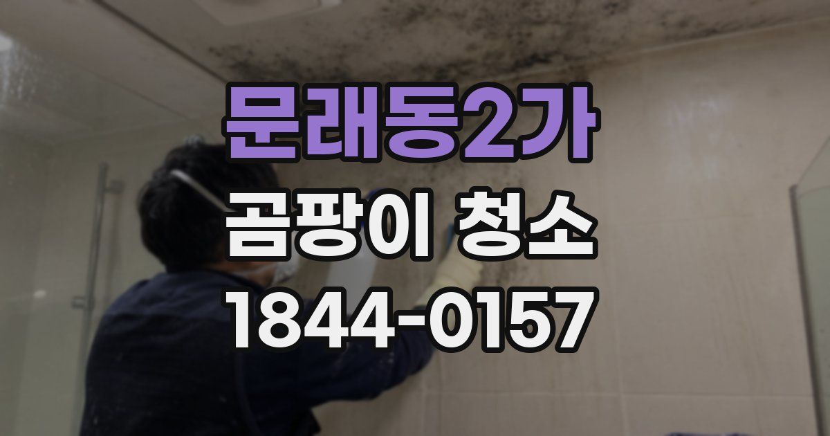 문래동2가 곰팡이 청소