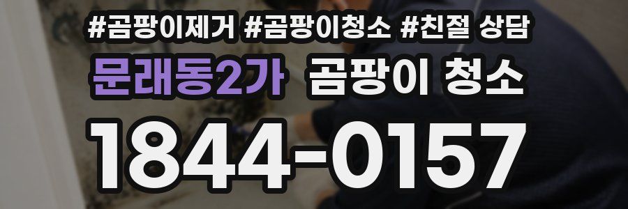 문래동2가 곰팡이 청소