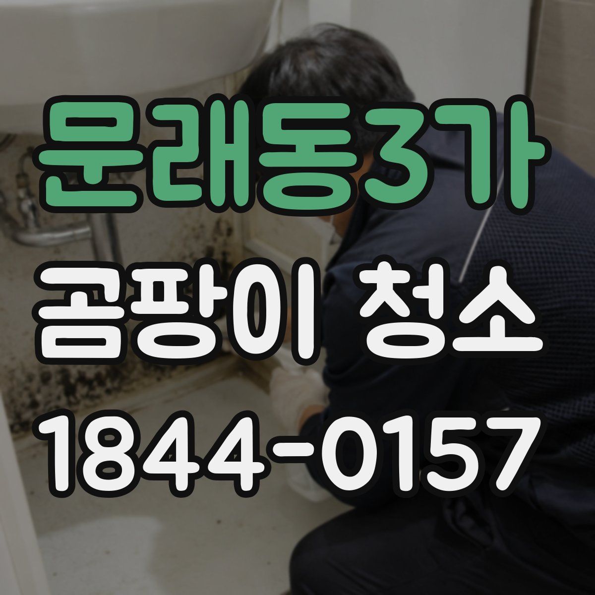 문래동3가 곰팡이 청소