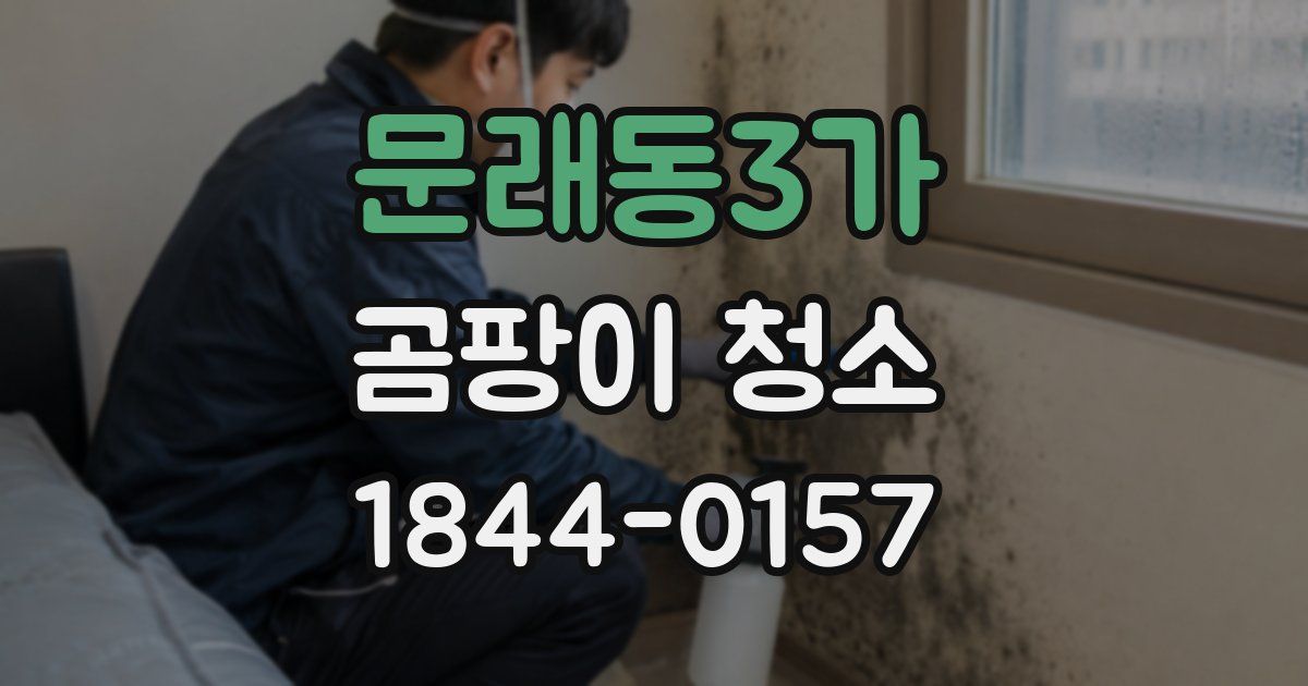 문래동3가 곰팡이 청소