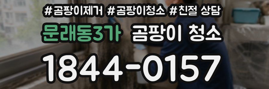 문래동3가 곰팡이 청소
