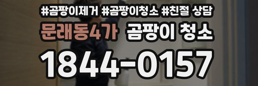 문래동4가 곰팡이 청소