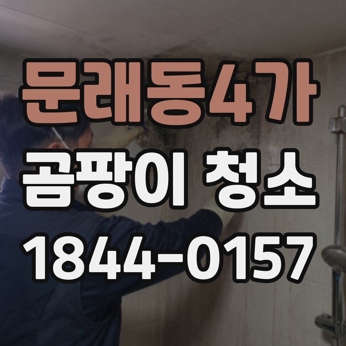 문래동4가 곰팡이 청소