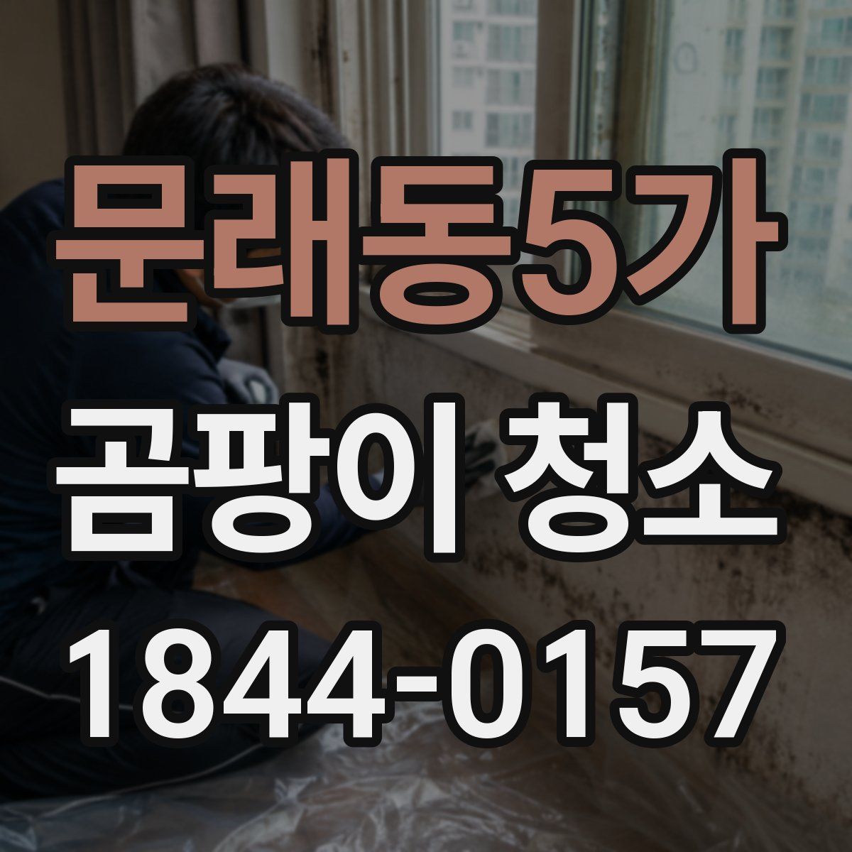 문래동5가 곰팡이 청소