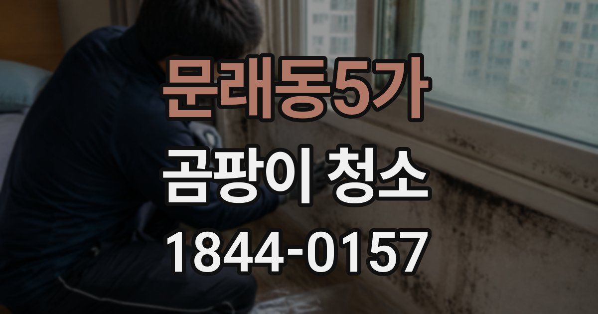 문래동5가 곰팡이 청소