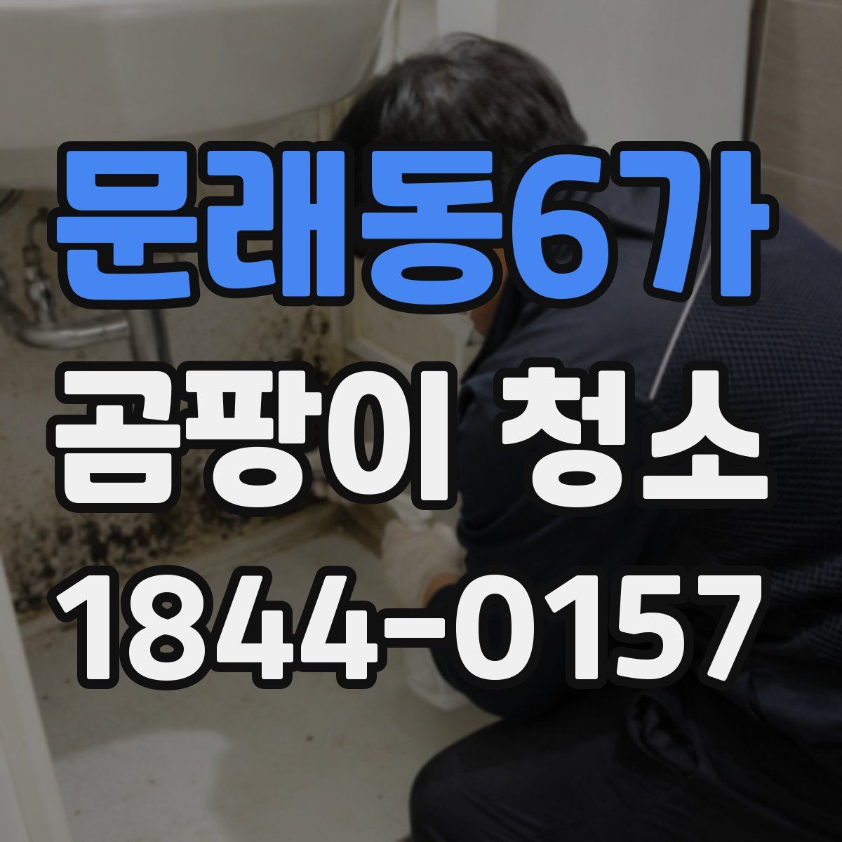 문래동6가 곰팡이 청소