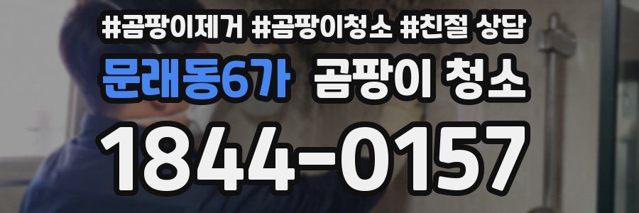문래동6가 곰팡이 청소