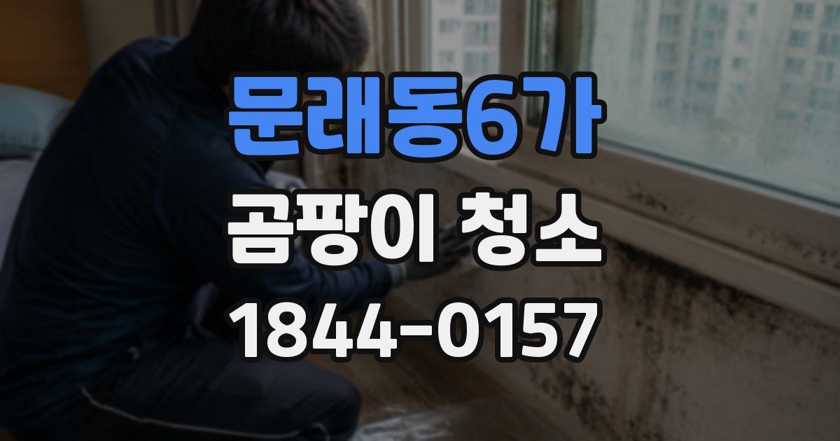 문래동6가 곰팡이 청소