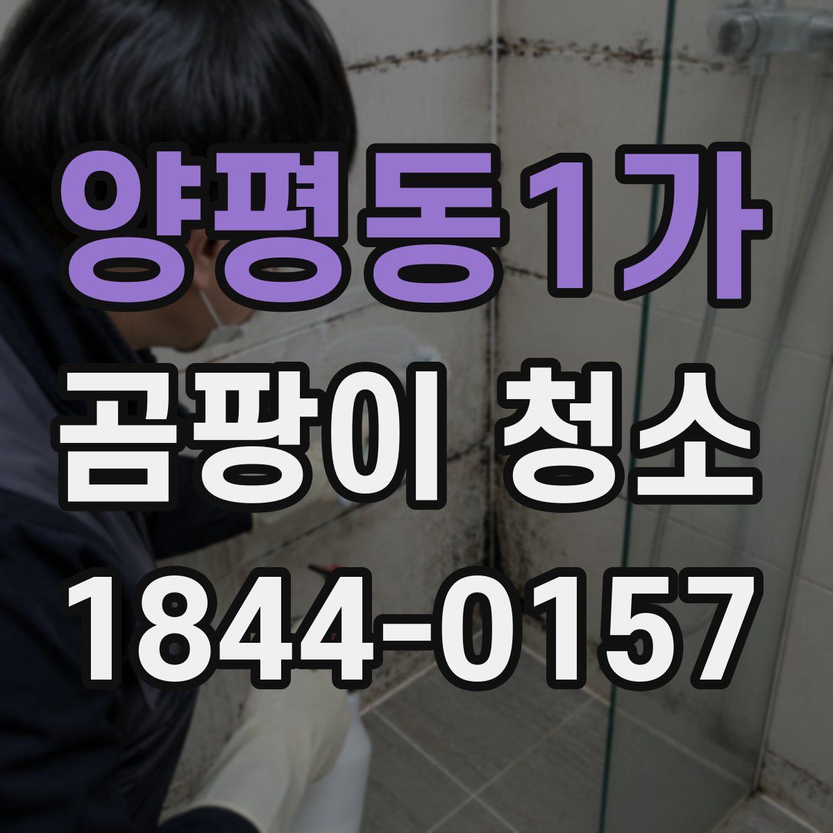 양평동1가 곰팡이 청소