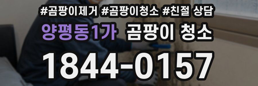 양평동1가 곰팡이 청소