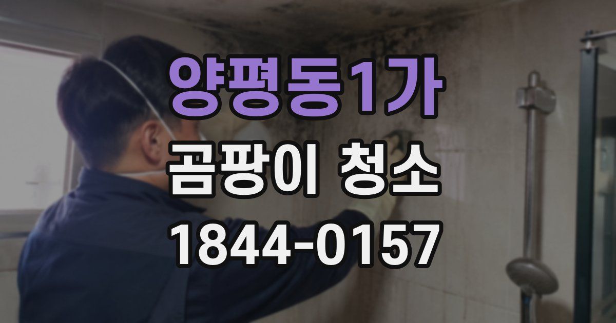 양평동1가 곰팡이 청소