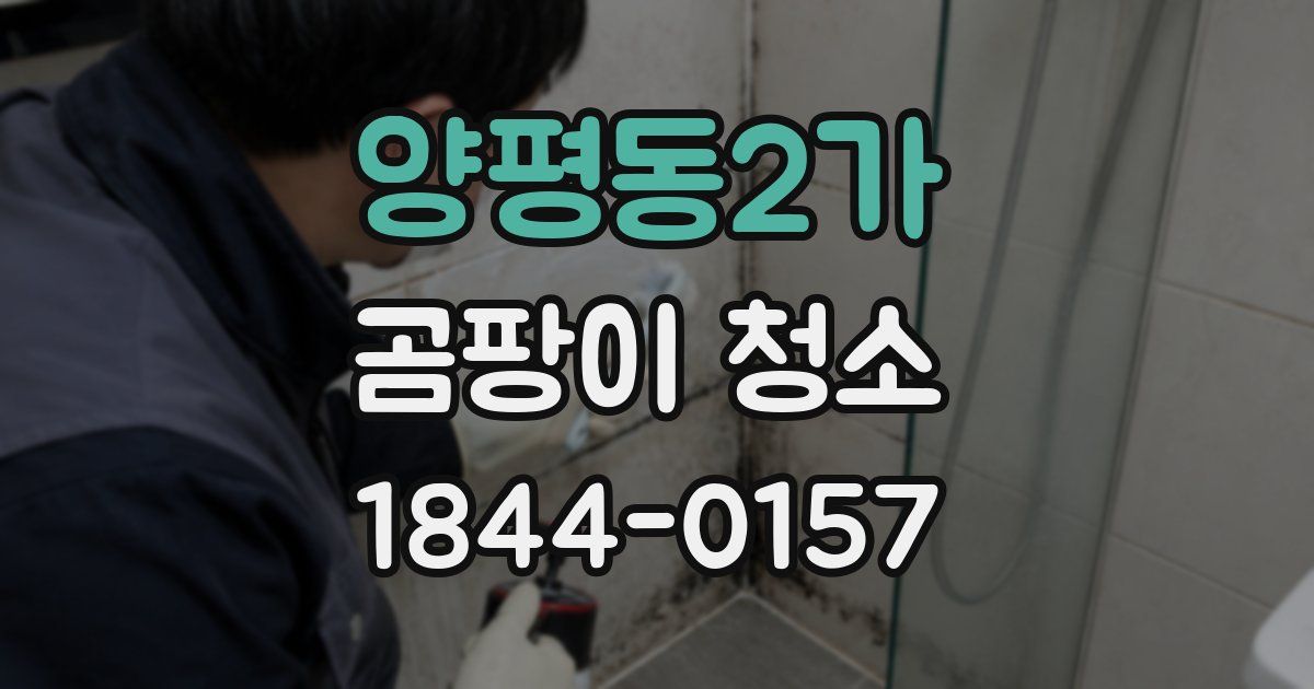 양평동2가 곰팡이 청소