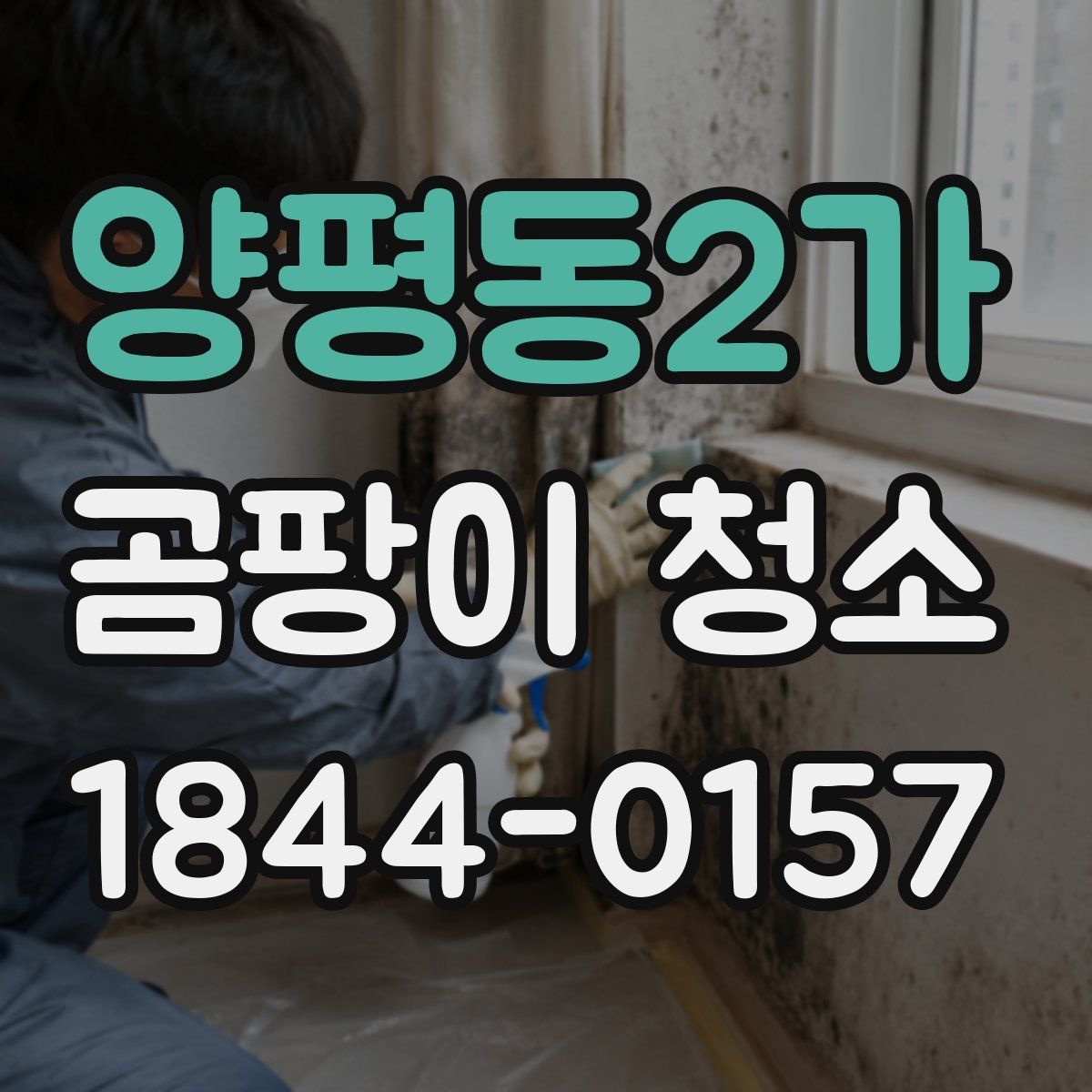양평동2가 곰팡이 청소