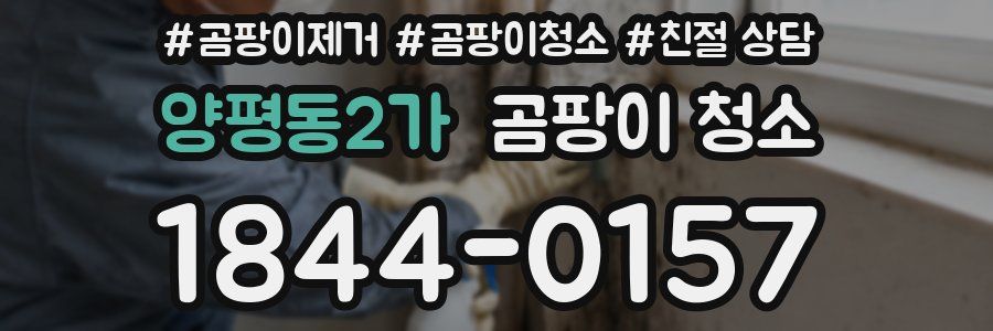 양평동2가 곰팡이 청소
