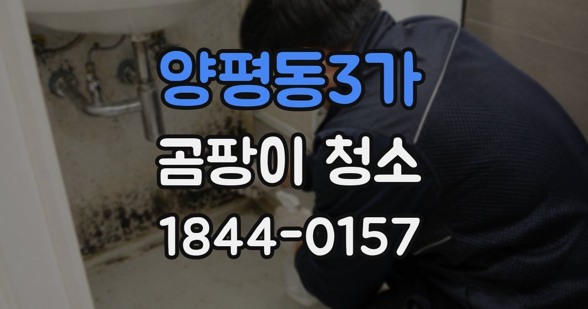 양평동3가 곰팡이 청소