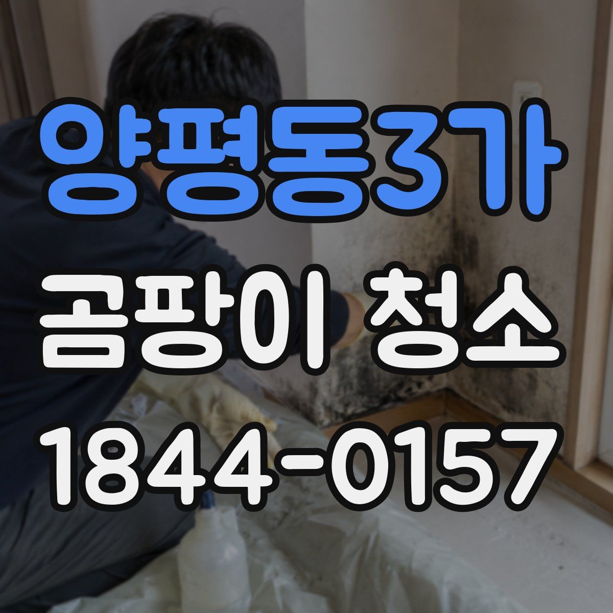 양평동3가 곰팡이 청소