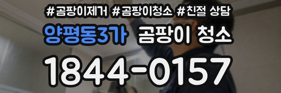 양평동3가 곰팡이 청소