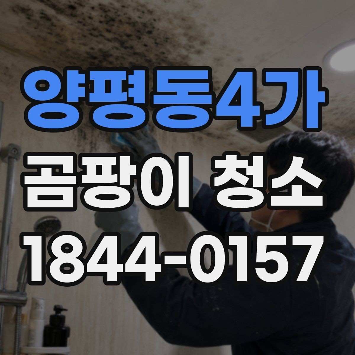 양평동4가 곰팡이 청소 전후 미리 점검할 부분 한눈에 보기