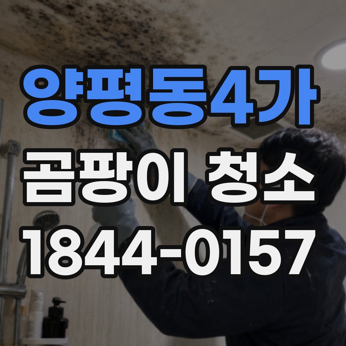 양평동4가 곰팡이 청소