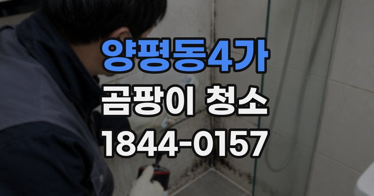 양평동4가 곰팡이 청소