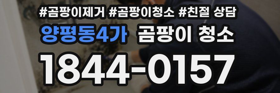 양평동4가 곰팡이 청소