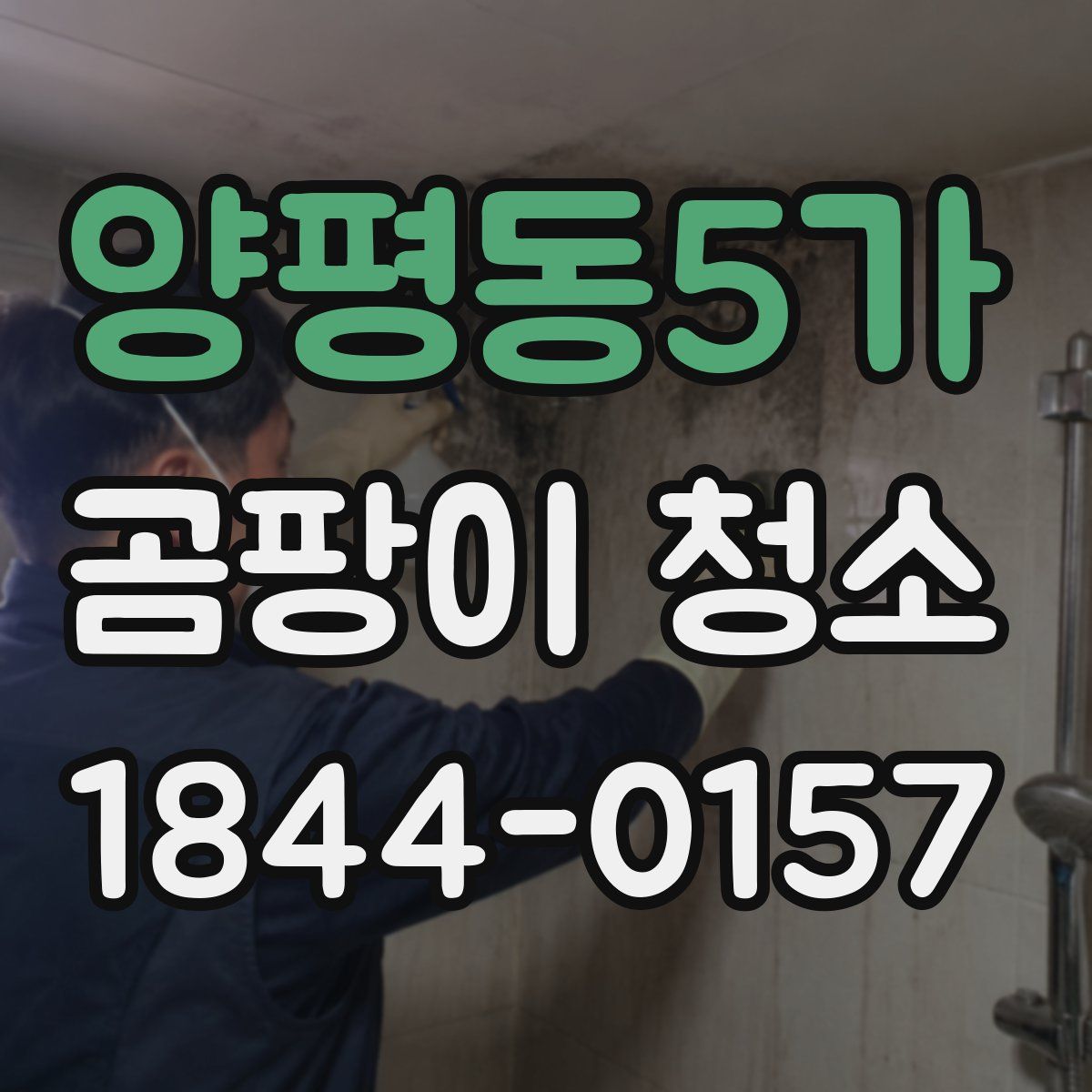 양평동5가 곰팡이 청소