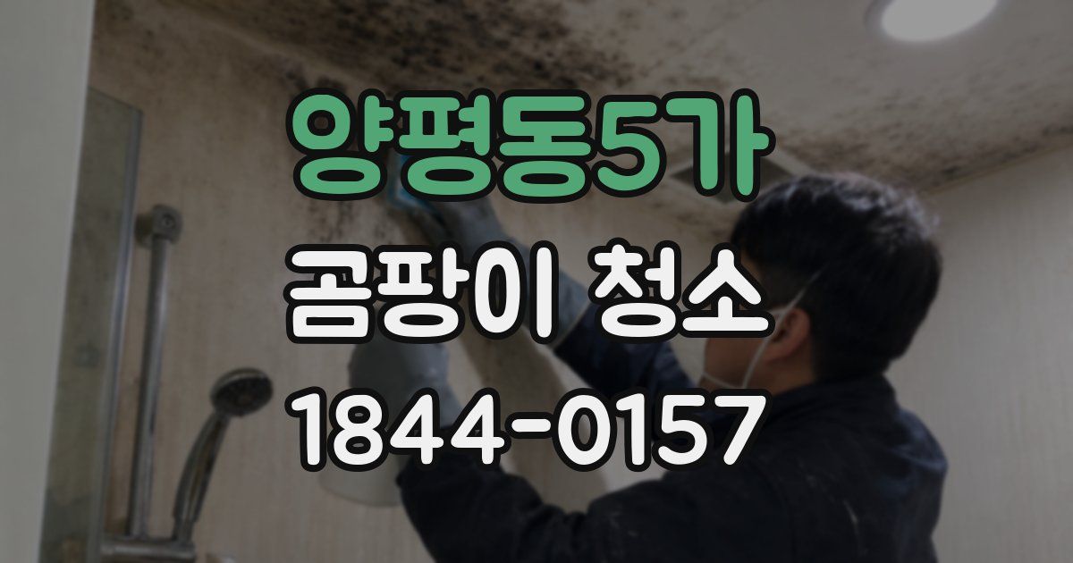 양평동5가 곰팡이 청소