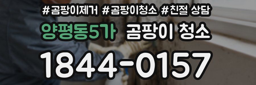 양평동5가 곰팡이 청소