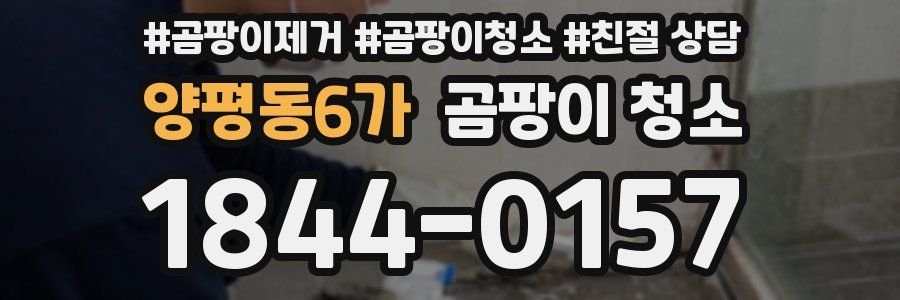 양평동6가 곰팡이 청소