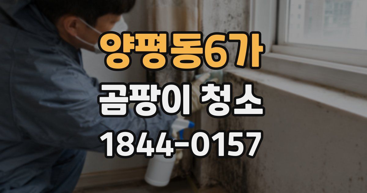 양평동6가 곰팡이 청소