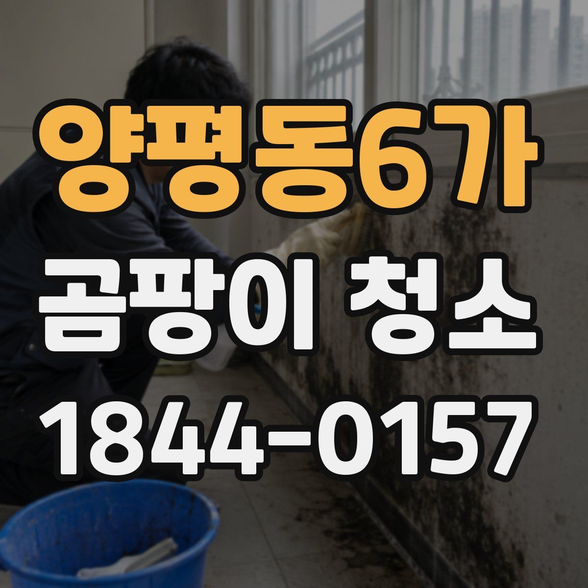 양평동6가 곰팡이 청소