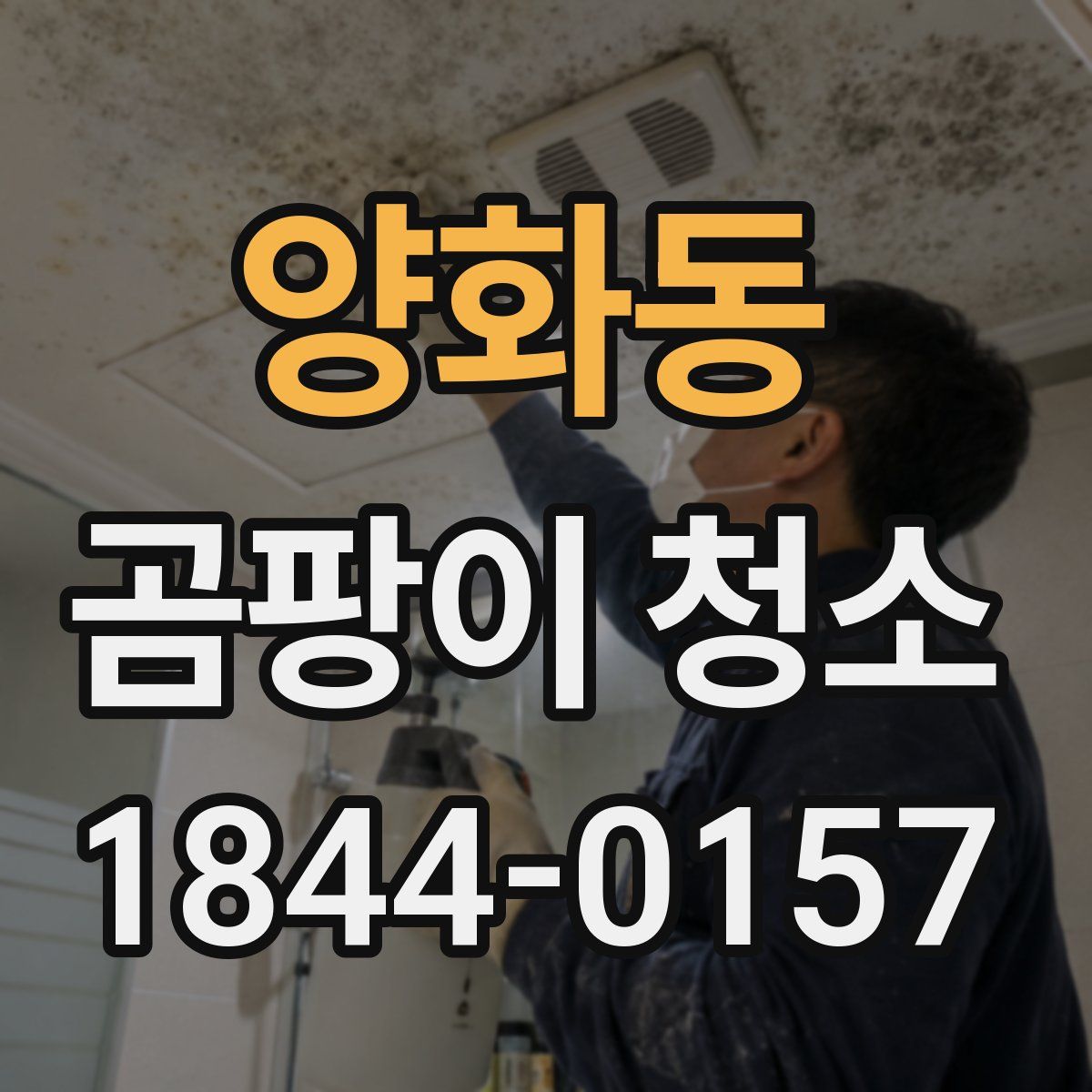 양화동 곰팡이 청소