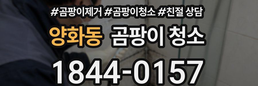 양화동 곰팡이 청소
