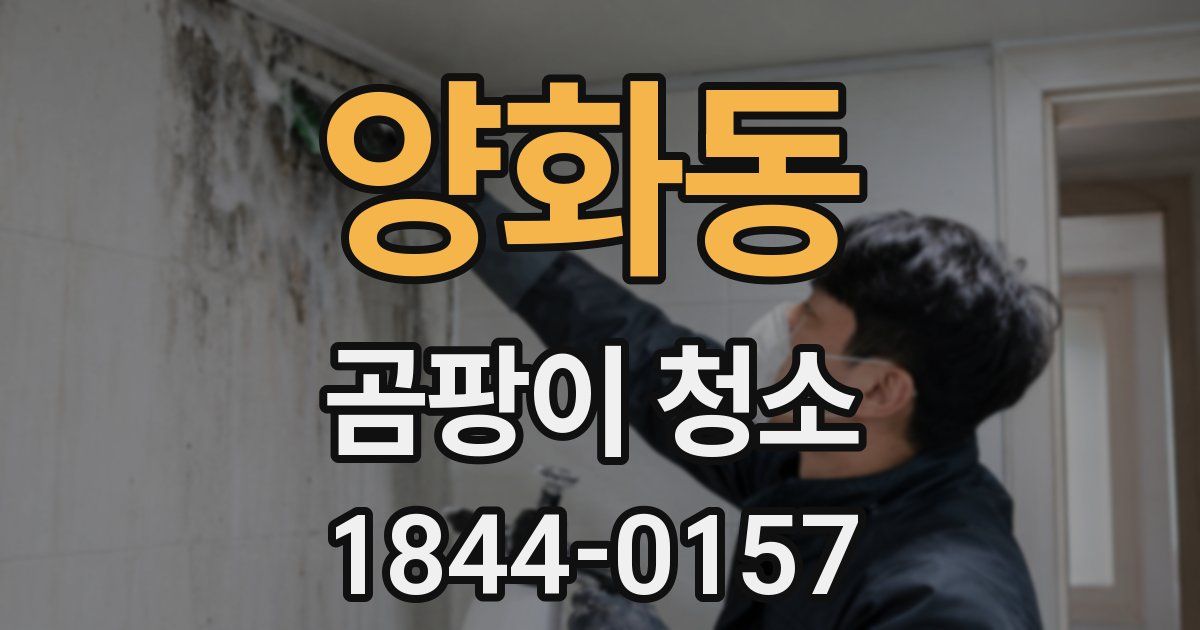양화동 곰팡이 청소