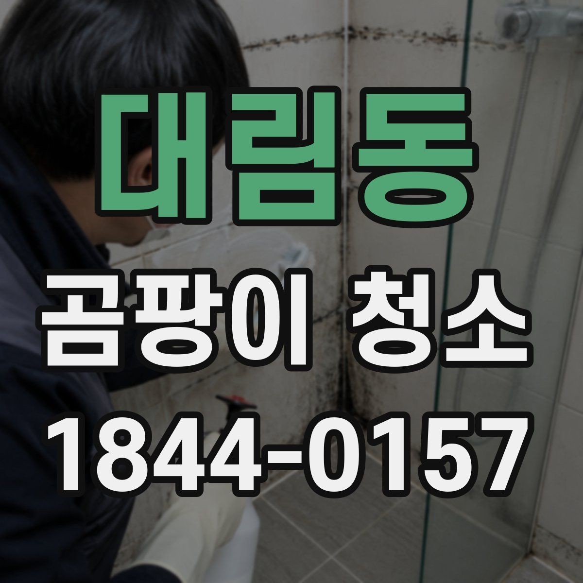 대림동 곰팡이 청소 후 재오염을 막는 실내 습관