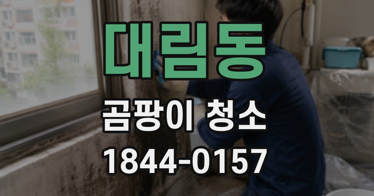 대림동 곰팡이 청소