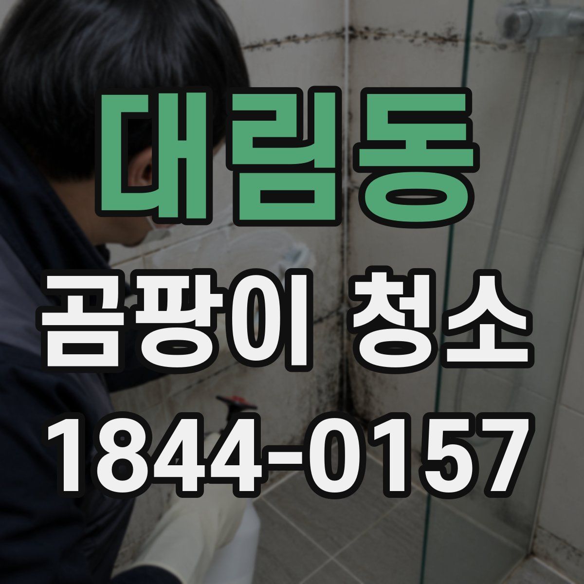 대림동 곰팡이 청소