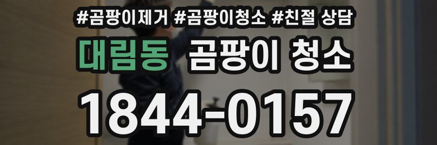 대림동 곰팡이 청소